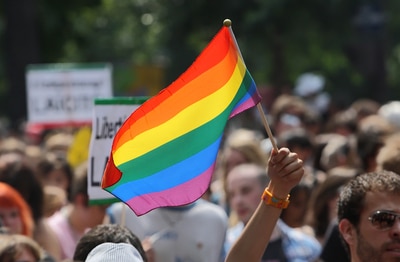 Rainbow flag