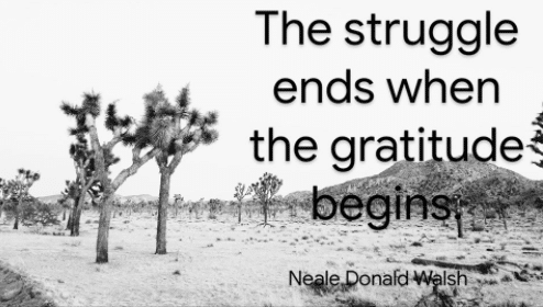 gratitude